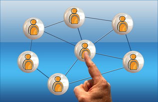 爱游戏全站app注册-高校体育课程多样化选择机制研究，高校体育课程多样化选择机制研究现状  第3张