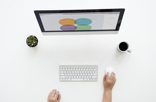 爱游戏体育（AYX）官方APP下载-乒乓球训练视频分析系统上线使用，乒乓球技术录像  第2张